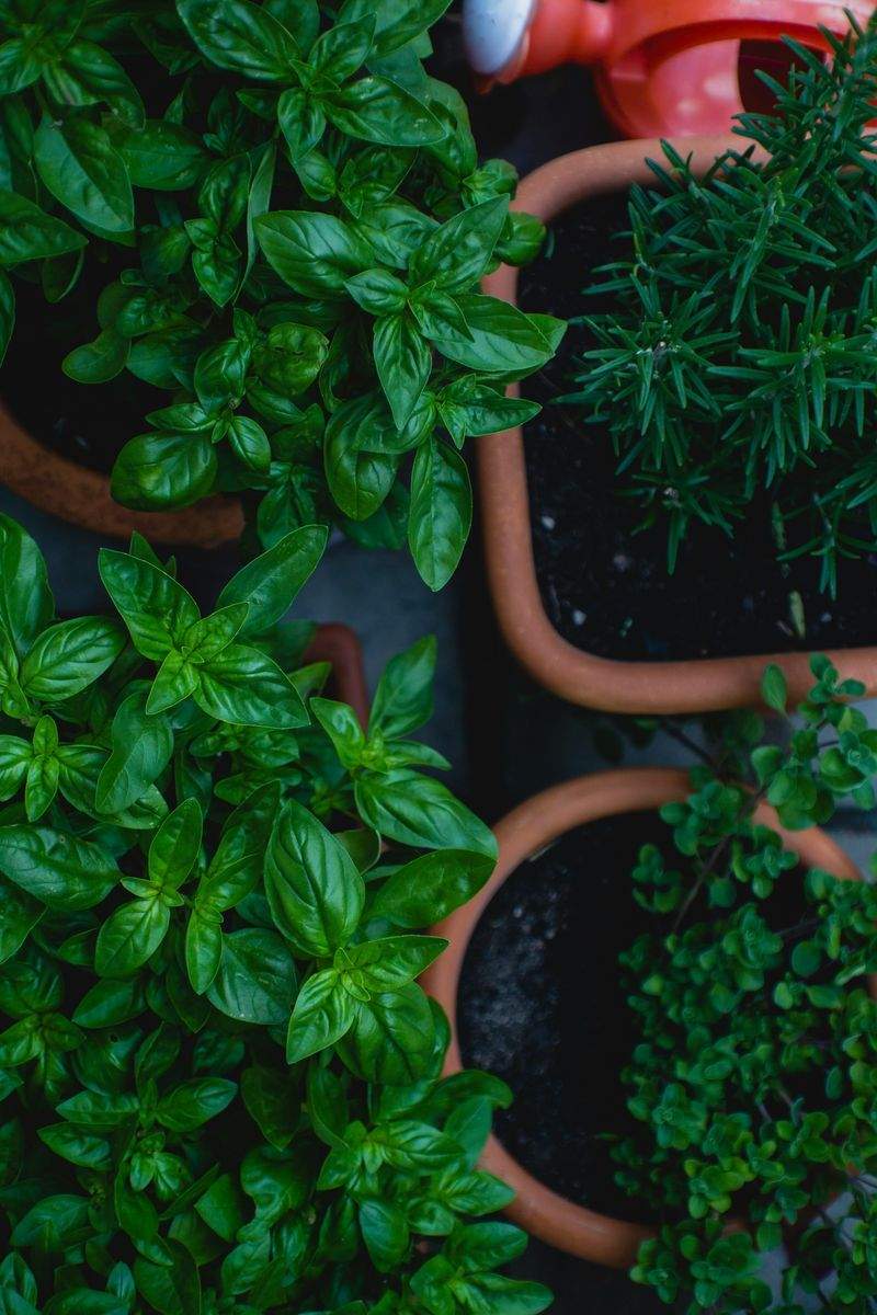 Éclat Vert Jardinage