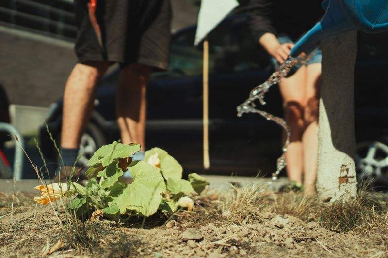 Éclat Vert Jardinage 13