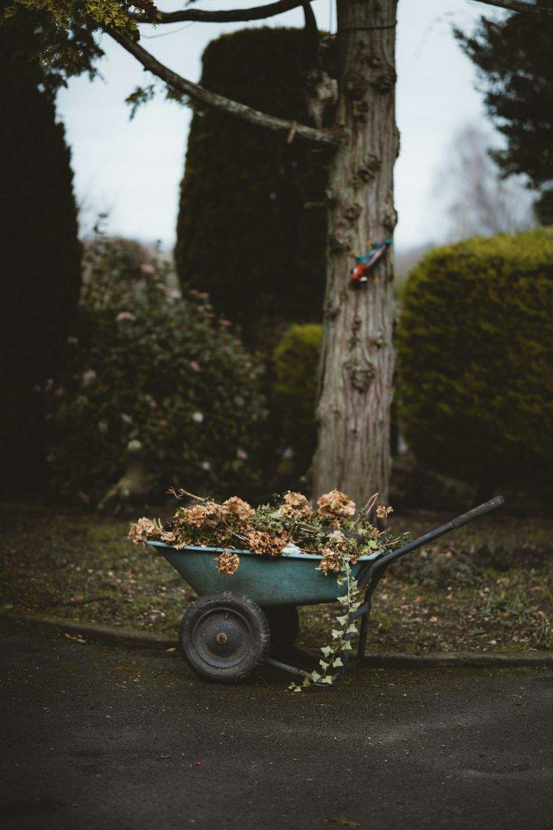 Éclat Vert Jardinage 3