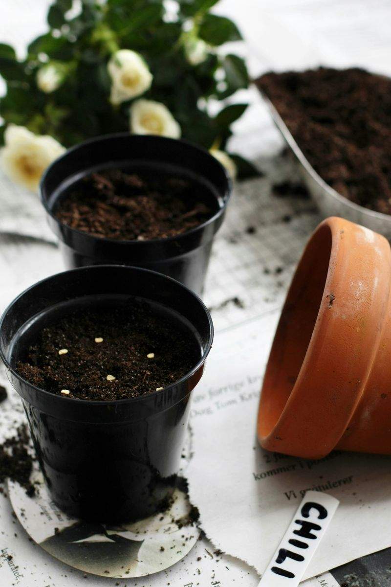 Éclat Vert Jardinage 7