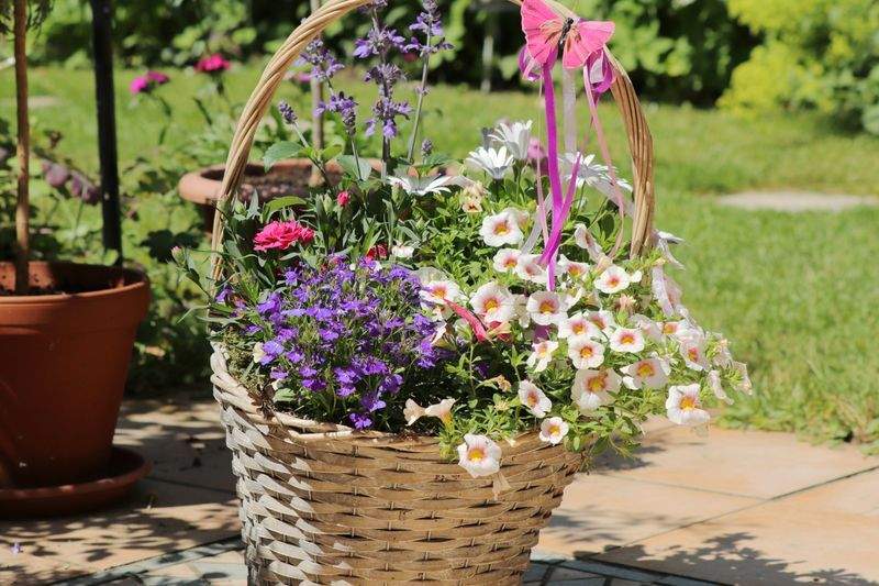 Éclat Vert Jardinage 8