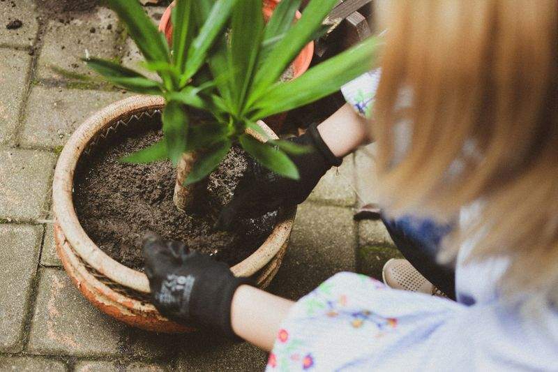 Ramassage des feuilles et évacuation des déchets verts